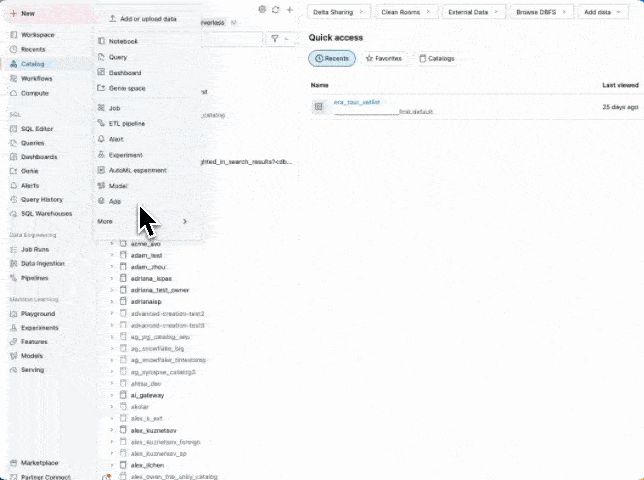 closing-gap-data-innovation-databricks-app-create-app